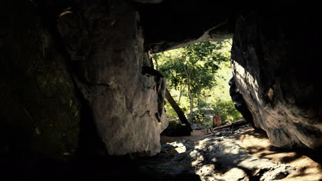 shot-taken-from-inside-a-small-cave-looking-out